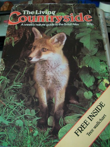 洋書 Edric Ong Living in Sarawak 洋書 Edric Ong Living in Sarawak Living in Sarawak by Ong, Edric