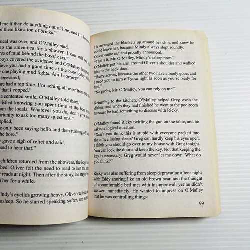 The Lewis Children (Have an explosive time in Burren Junction) Maureen Mulheron - Imagen 7 de 9