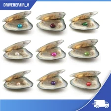 50X Akoya Oysters with Pearls Freshwater Pearl 7-8mm Vacuum Individually Wrapped