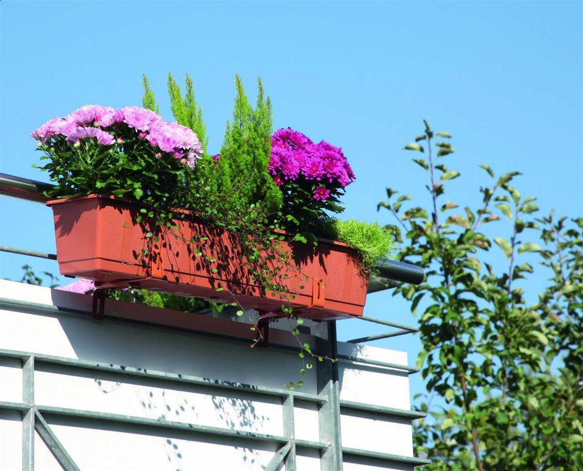 Blumenkasten Aqua Green Plus – Inkl. Bewässerung & Wasserstandsanzeiger, Farbe: Taupe, Länge: 60 Cm