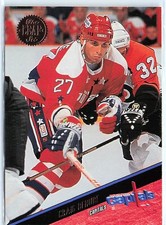 1993-94 Leaf #314 Craig Berube Washington Capitals