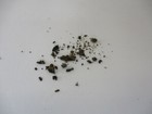 Bild 7 von 8