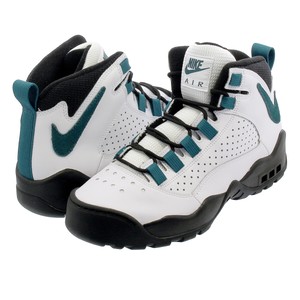 nike air darwin white