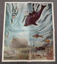 Peabody Vintage Original Doctors And Divers 1966 School 2 Sided Poster Lot 12