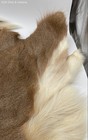 Natural Tanned Deer Fur Pelt Salt and Pepper Brown White Hide Sections — photo 5