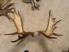 Picture 2 of 5