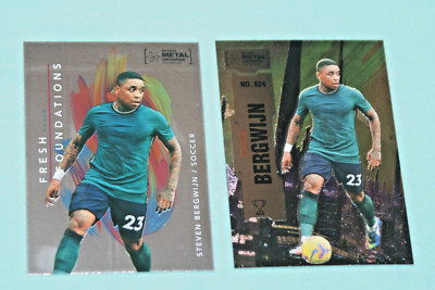 STEVEN BERGWIJN (2) RC 2022 SKYBOX METAL UNIVERSE FOUNDATIONS & BASE #FF16 &024