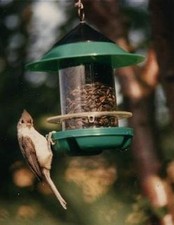 BECKS Chickadee Bird Feeder GREEN BECKSCKD