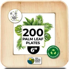 Palm Leaf Plate Bamboo Paper Disposable 6 Inch 200 6" Square, D-200 Plates 