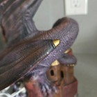 Picture 7 of 7