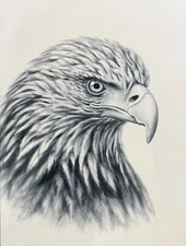 Portrait of an eagle. Handmade 12x16 in. Paper