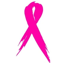 Pink Ribbon Breast Cancer Awareness Decal Stickers Support Health Car Truck JDM