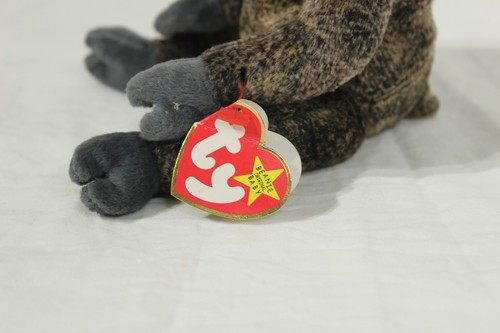 TY Beanie Baby - SLOWPOKE the Sloth Plush Collectible Hang and Tush Tags - Picture 5 of 6