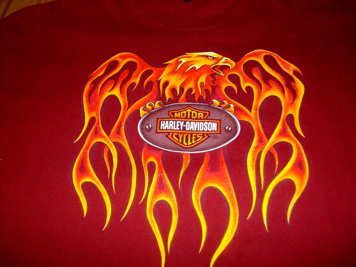 H*S様 Harley Davidson eagle flame 00s tシャ H*S様 Harley Davidson eagle flame 00s tシャ Eagle Flames Tee