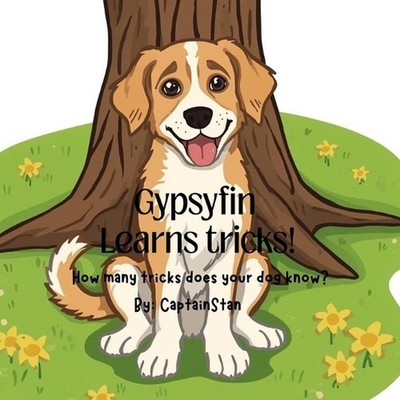 Gypsyfin Learns Tricks by Stan Allen Paperback Book