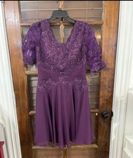 Mother of the Bride or Groom Dress Small VNeck Knee-Length LaceChiffon JJ s Hous