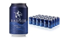 Radnor Spring Water Still  330ml Pack of 24 Cans
