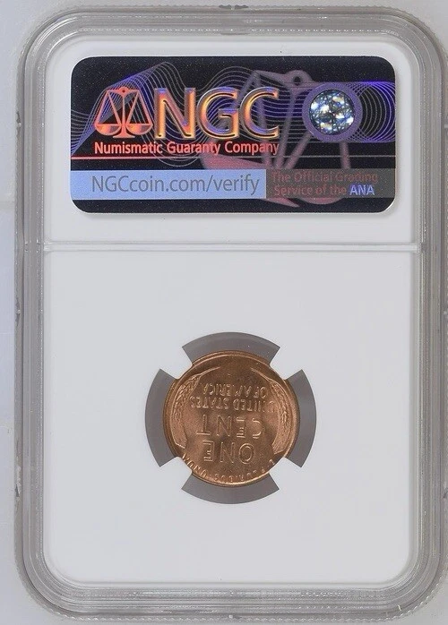 SCARCE 1951 D/D WHEAT CENT ERROR🌟NGC MS-66 RD🌟HIGH GRADE🌟LOW STARTING BID $! - Image 2 of 2