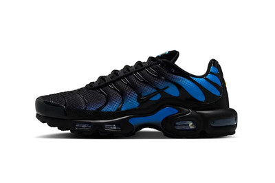 Nike Air Max Plus tn / Nike Air Max Tuned / 44.5 / Nagelneu / DM0032-041