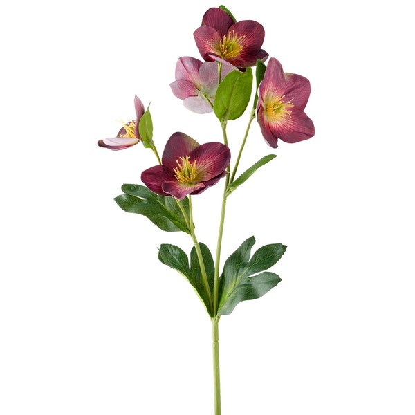 Kunstblume Christrose, 3Er Set, Farbe Aubergine, HöHe Ca. 44 Cm-image