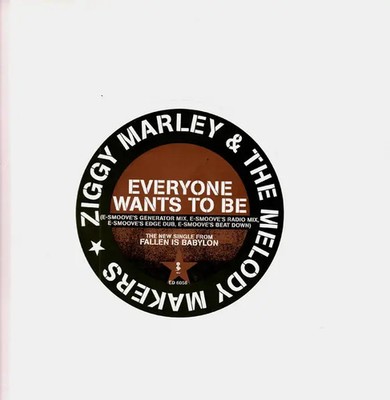 Ziggy Marley And The Melody Makers Everyone Wants To Be Vinyl Single 12inch