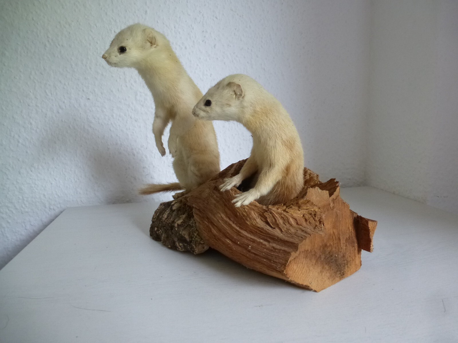 Bild 2 von 7