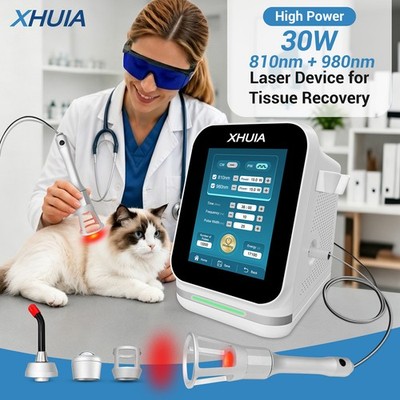 30W High Power Cold Laser Therapy Equipment 810+980nm for Pain Relief Human Pet