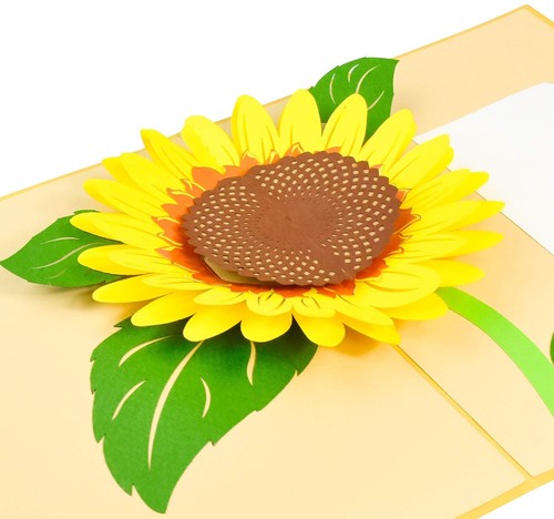 PopLife Sunflower 3D Pop Up Mother's Day Card - Happy Golden Anniversary Card... - Picture 7 of 8
