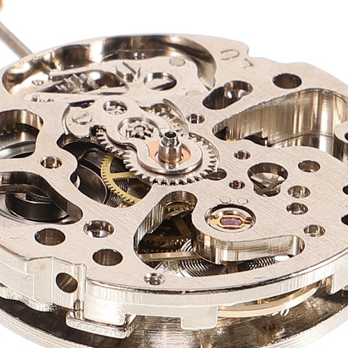 Automatic Mechanical Watch Movement Replacement - Picture 6 of 12