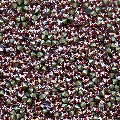 1028 PP14 LR *** 100 STRASS SWAROVSKI fond conique 2,05mm LIGHT ROSE F