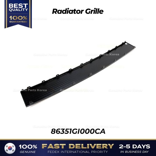 ⭐Genuine⭐ Radiator Grille 86351GI000CA for Hyundai Ioniq 5 - Picture 2 of 3
