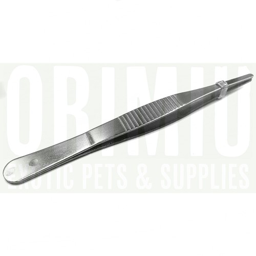 12cm Metal Tweezers for Feeding Reptiles Bugs Insects Praying Mantis Tongs - Picture 5 of 6