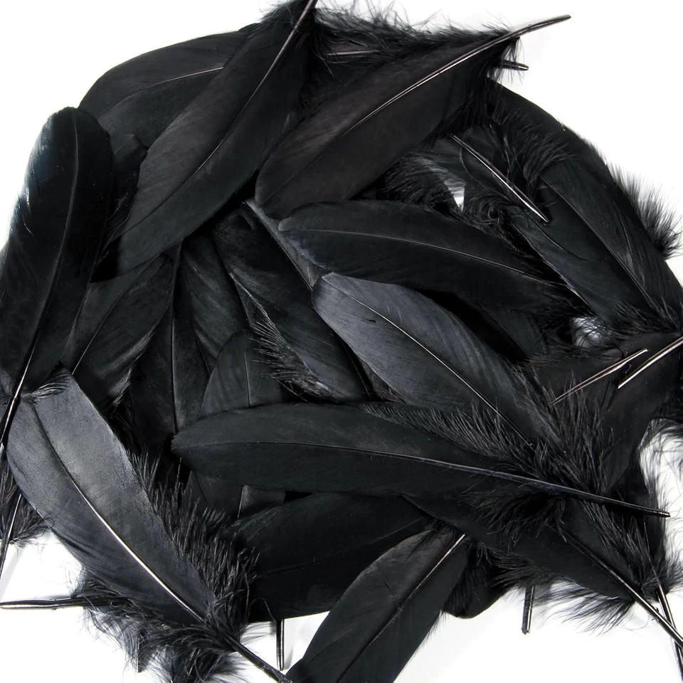 120pcs Black Goose Feathers Natural Bulk 6-8 inch 15-20cm for Crafts DIY Cosplay - Image 3 of 4