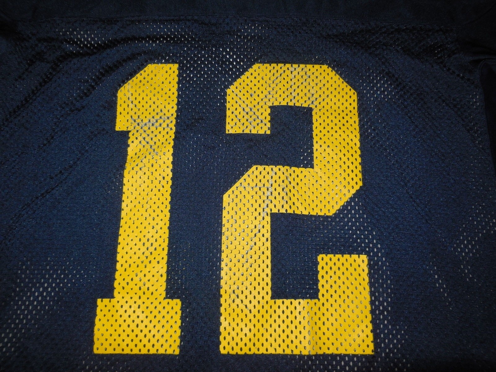 Nike Michigan Wolverines Football Jersey Team Blue Shirt Training
