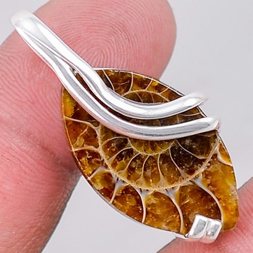 fossil - ammonite 925 sterling silver pendant jewelry sdp16503