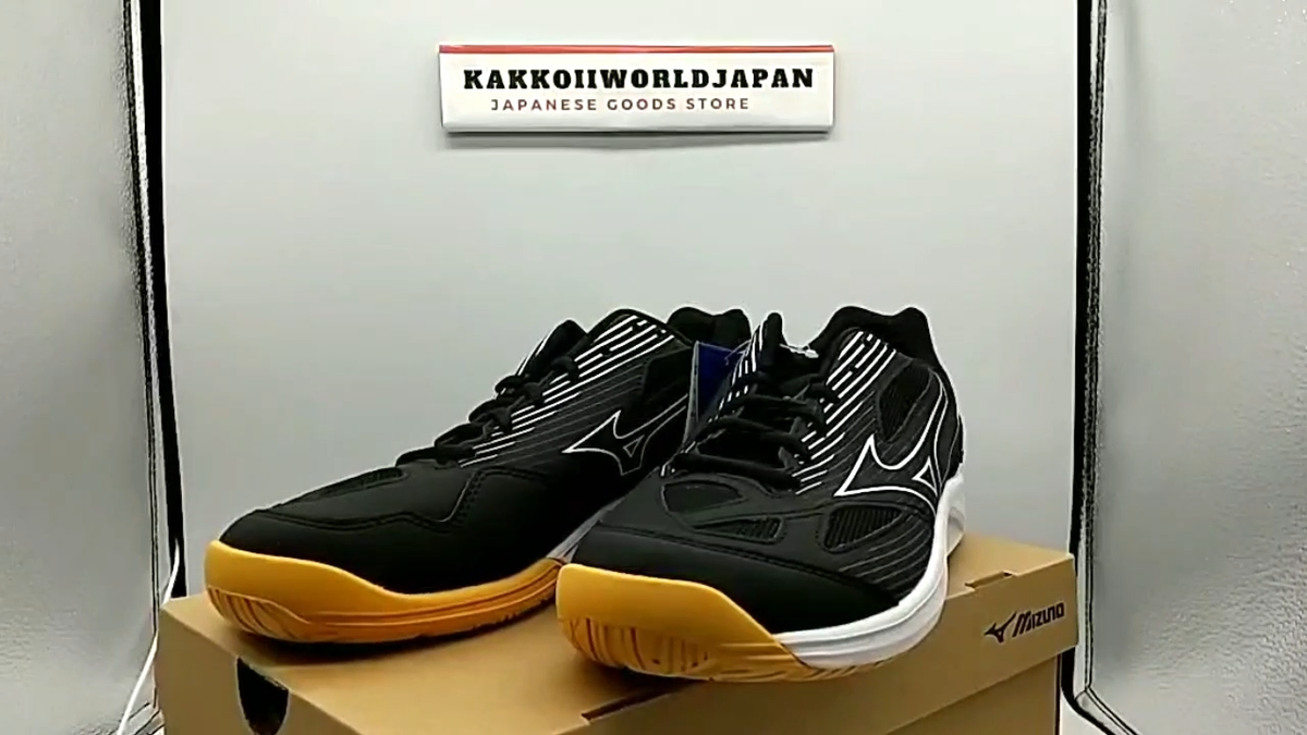 MIZUNO Volleyball Shoes CYCLONE SPEED 4 Black/White V1GA2380 55