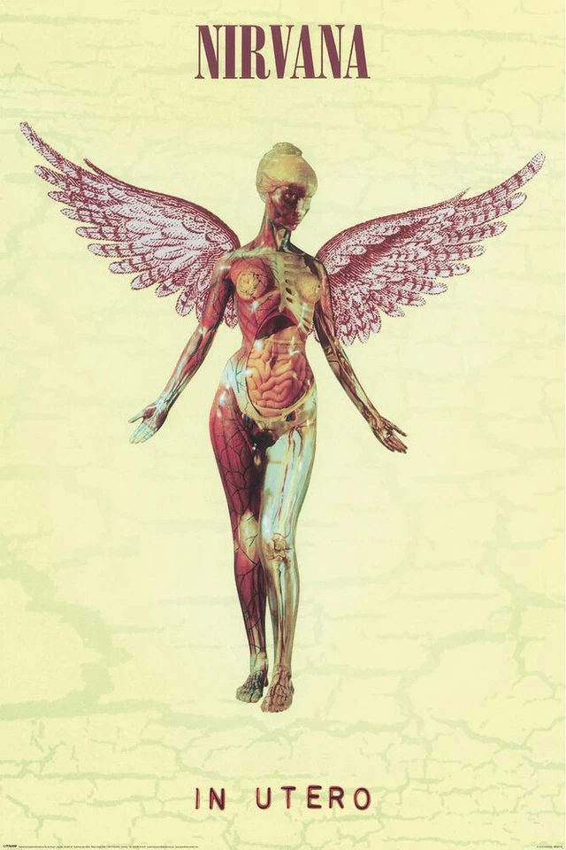 NIRVANA - IN UTERO POSTER 24x36 - 35113