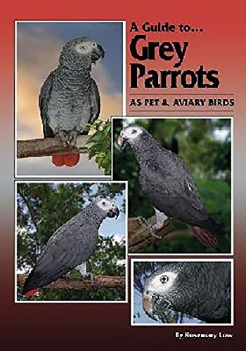 A Guide to Grey Parrots: As Pet and Aviary Birds-Rosemary Low,So