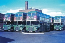047m 6x4" Bus Photo - London Tr. Country Area. Fleet no's. RML 2339 and RML2355