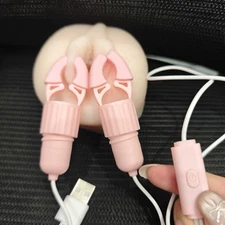 Nipple Toys Vibrating Nipple Clamps Clip Vibrator Enhancer Sex Toys for Women US