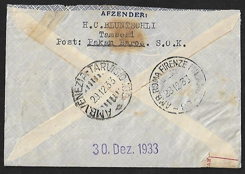 NETHERLANDS INDIES PAKANBAREO TO AUSTRIA AIR MAIL REGISTERED COVER 1933 - 第 2/2 張圖片