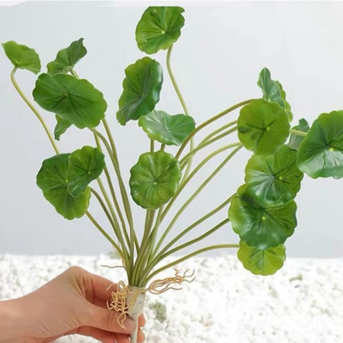 Simulazione Di Erba Di Monete Rame, Foglia di Begonie, Vaso, Appendiabiti, Artificiale8476 - Foto 7 di 9