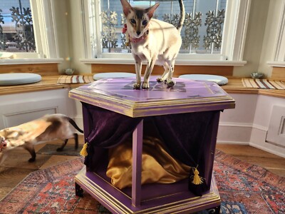 Witchy Cat Bed, Cat House, Cat Gifts, Pet Crate, Pet Kennel, End