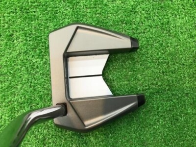 Putter TaylorMade SPIDER SR Platinum White Single Bend 34 Pouces - Droitier