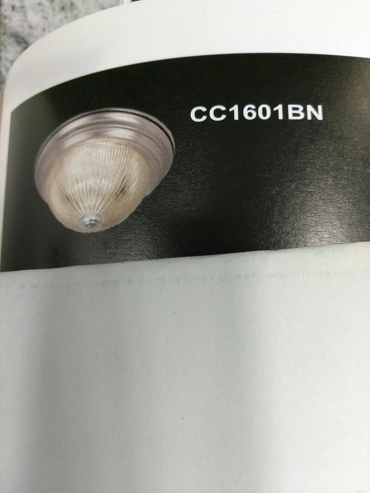 VAXCEL LIGHTING CC1601 BN ACCESORIO DE TECHO 2 luces montaje al ras - níquel (#31C Foto 3 de 4