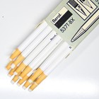 Berol Paper Wrapped Pen-Style Plastic Pencil Eraser Pens 537T-Bx