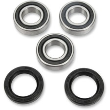 Pivot Works Wheel Bearing and Seal Kit - Double Seal - Rear | PWRWK-S13-021