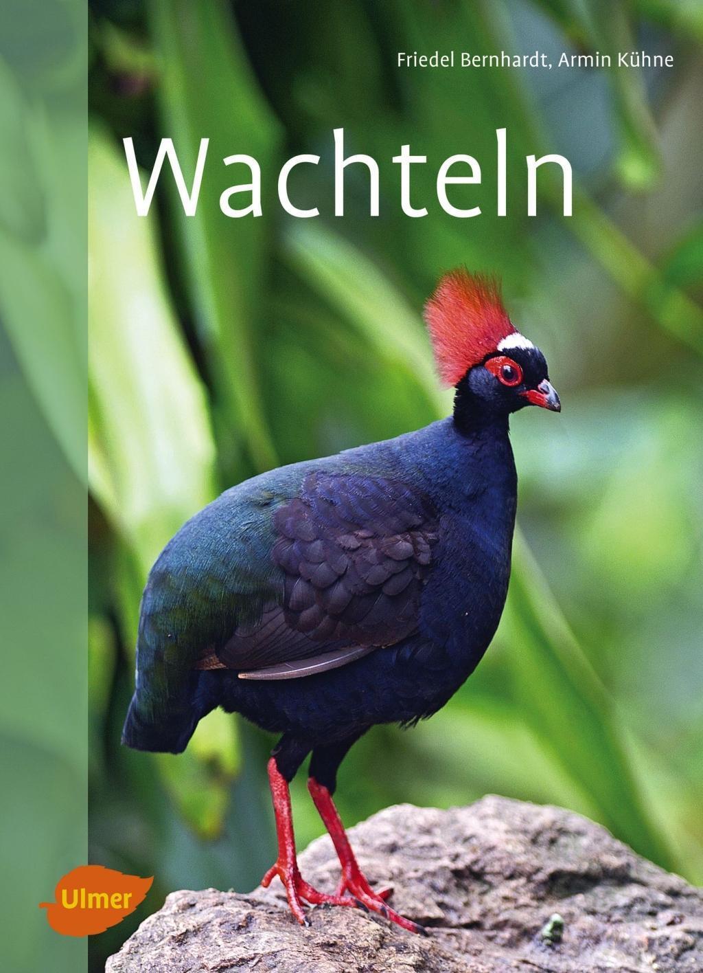 Thumbnail - Wachteln Friedel Bernhardt