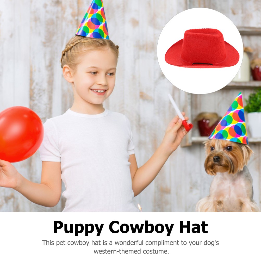 Cappello da cowboy cane gatto animale domestico cowboy copricapo Halloween animali domestici accessori cosplay foto 4