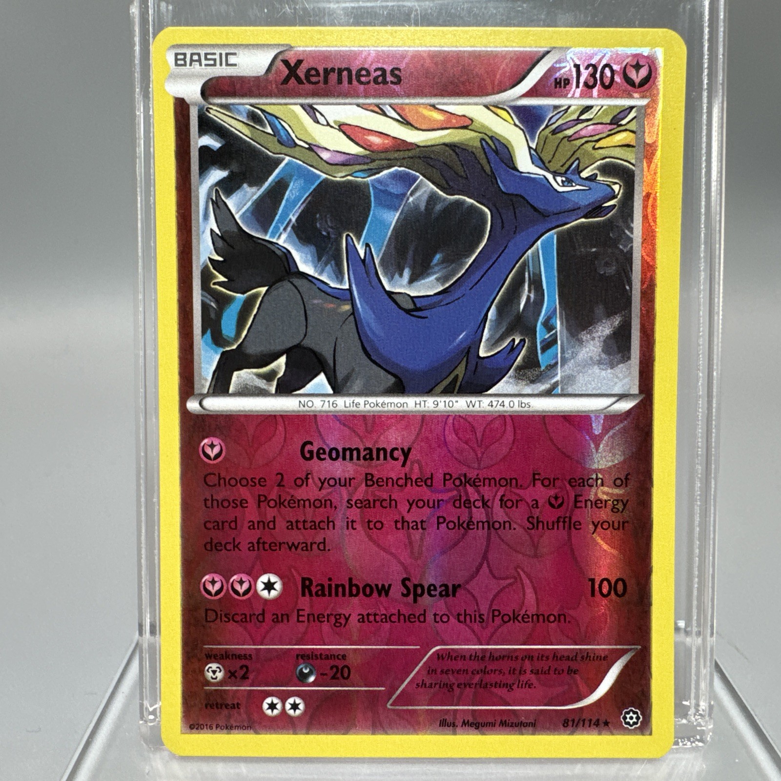 Xerneas - 81/114 - Holo Rare - XY-Steam Siege Pokemon TCG NM